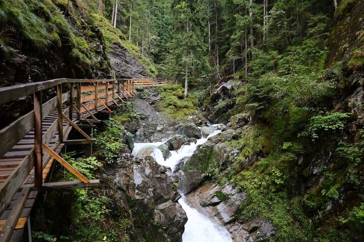 Les gorges du Fier sont situées en Haute-Savoie près de la ville d'Annecy