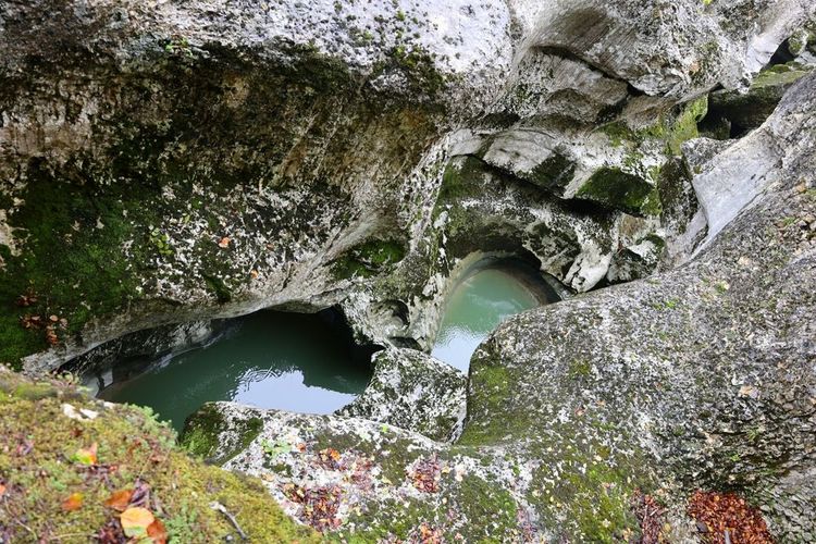 Les gorges du Fier sont situées en Haute-Savoie près de la ville d'Annecy