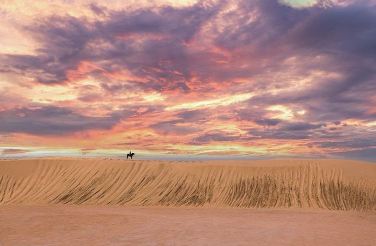 Les dunes de Ong el Jemel en Tunisie