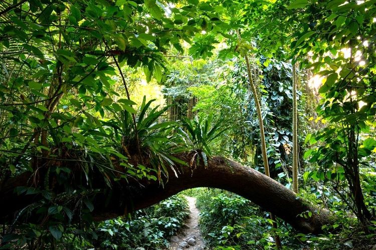 Chemin de randonnée autour de la rivière Couleuvre