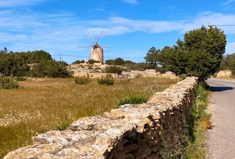 Le moulin de Sant Francesc Xavier