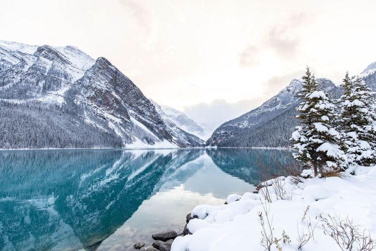 Le lac Louise en hiver