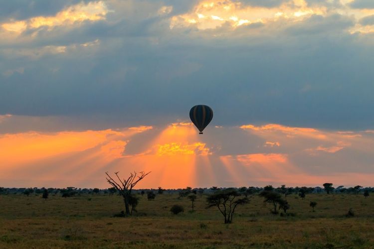 Montglofière au-dessus du parc national du Serengeti en Tanzanie