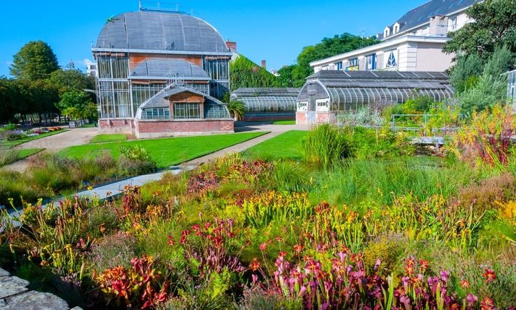 Serres du Jardin des Plantes, Nantes