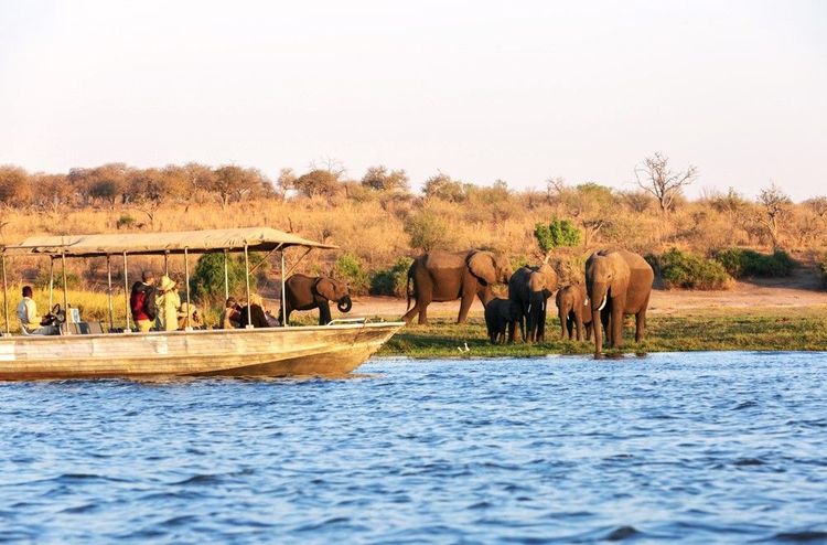 Croisière dans le delta de l'Okavango au Botswana