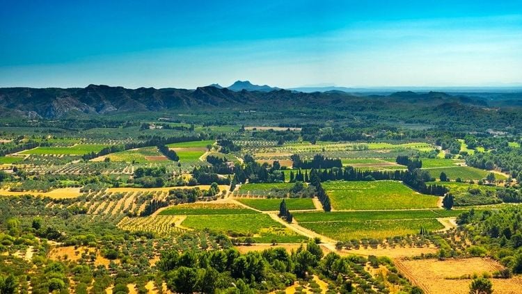 Le massif des Alpilles a inspiré Van Gogh