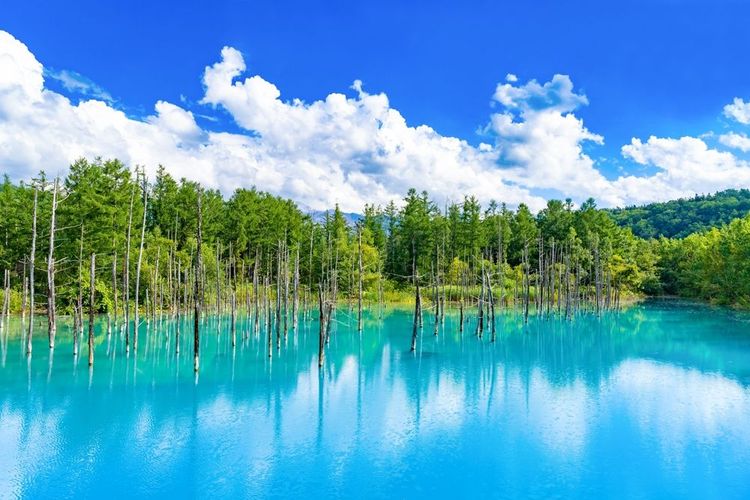 Dotées d'aluminiums par le biais des sources environnantes, les eaux du lac revêtent la couleur bleue du ciel mais aussi ses nuances en fonction du temps.
