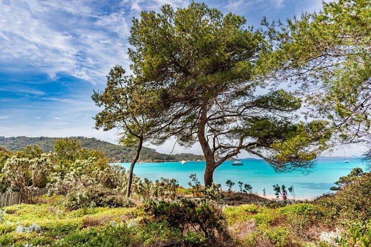 Porquerolles
