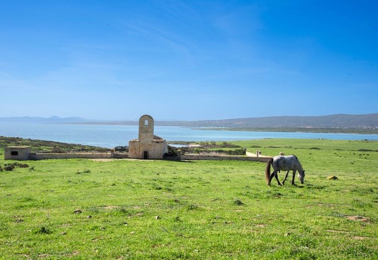 La vieille église rurale de l'île d'Asinara