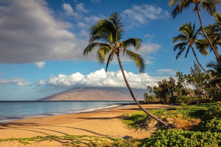 Plage tropicale de Kamaole, Maui, Hawaï