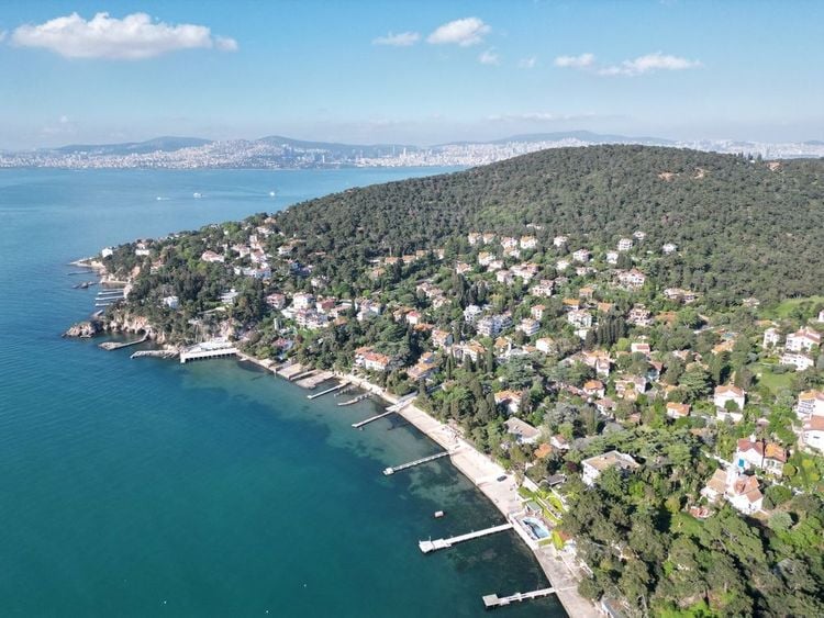 vue aérienne sur Büyükada à Istanbul