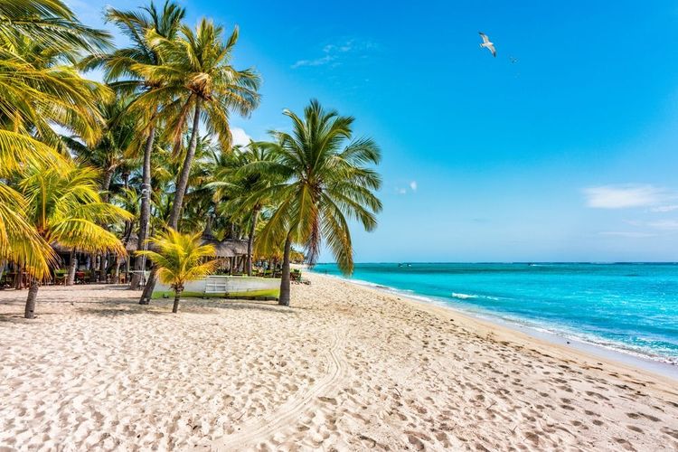 La plage du Morne à l'île Maurice