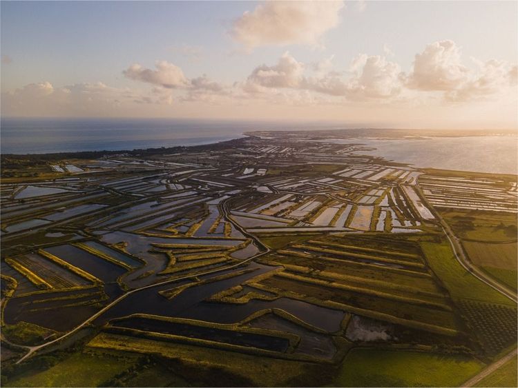 Île de Ré