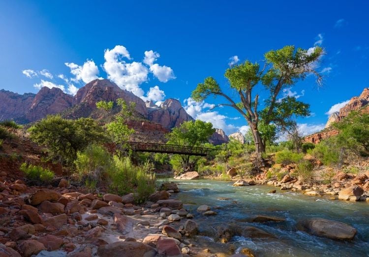  Virgin River,Zion National Park, Utah.