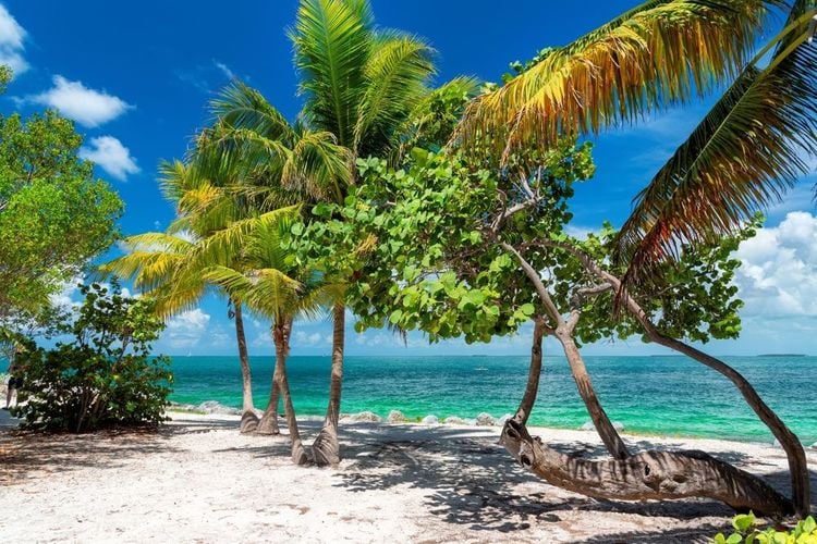 Key West, une des îles de Florida Keys, Floride 
