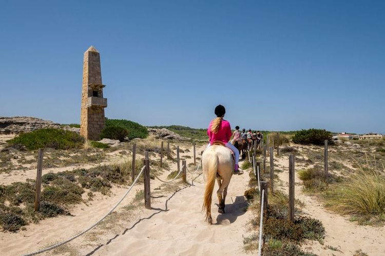 Touristes à cheval à travers les dunes, Son Serra de Marina, Majorque, Baléares, Espagne