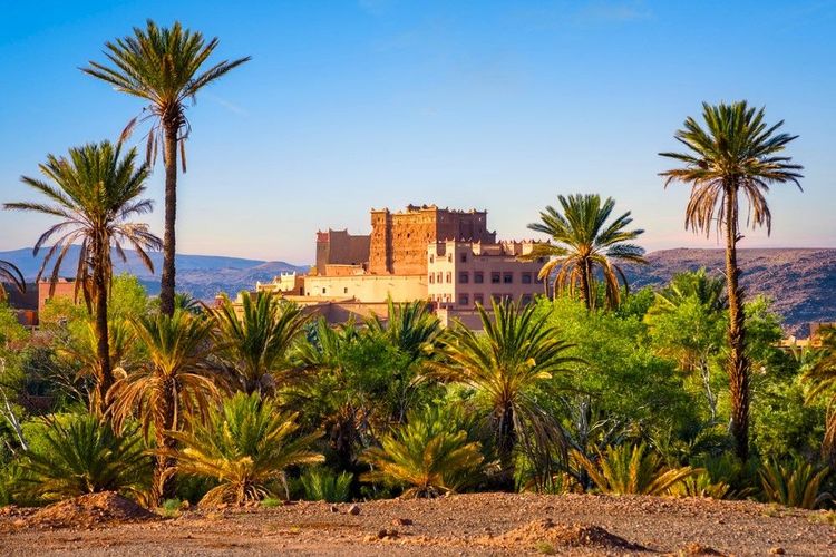 L'oasis de Skoura : un écrin de verdure au cœur du désert marocain