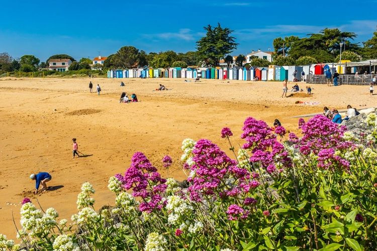 Plage des Huttes à Saint-Denis d'Oléron