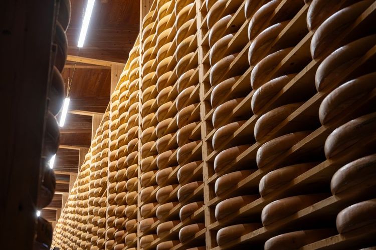 Salle de vieillissement du fromage.