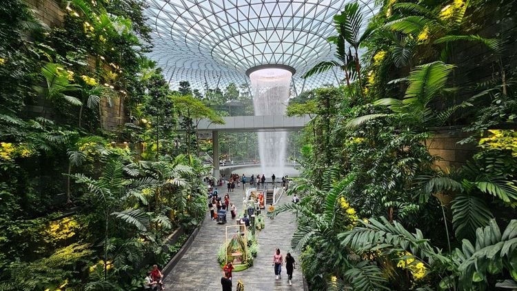 aéroport international de Singapour