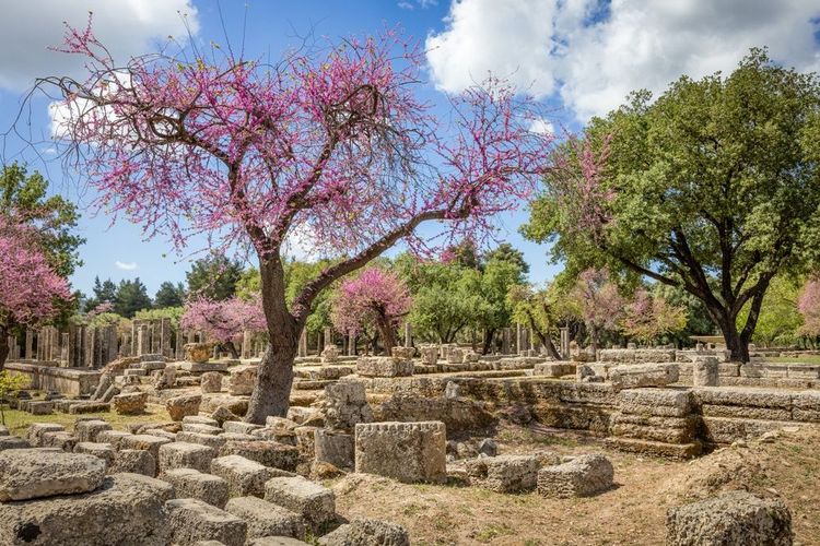 Le site archéologique d'Olympie.