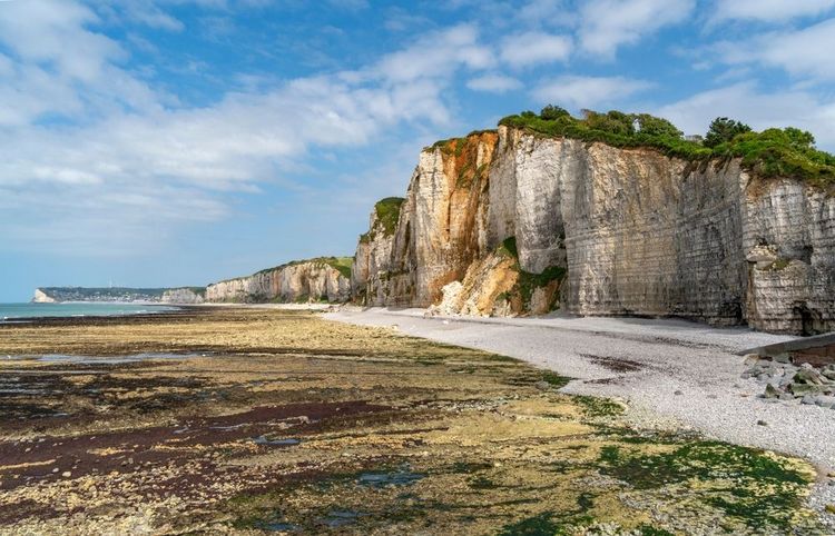 Les falaises d'Yport