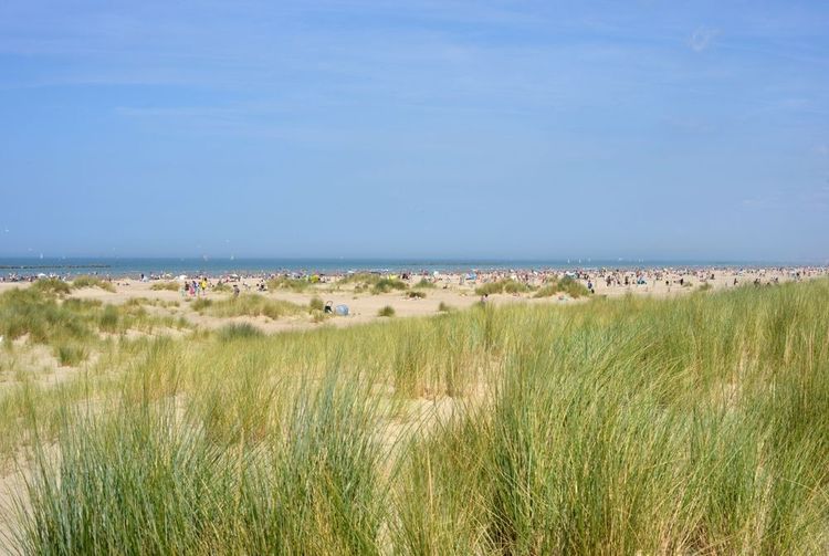 Plage de Malo, Bray-Dunes