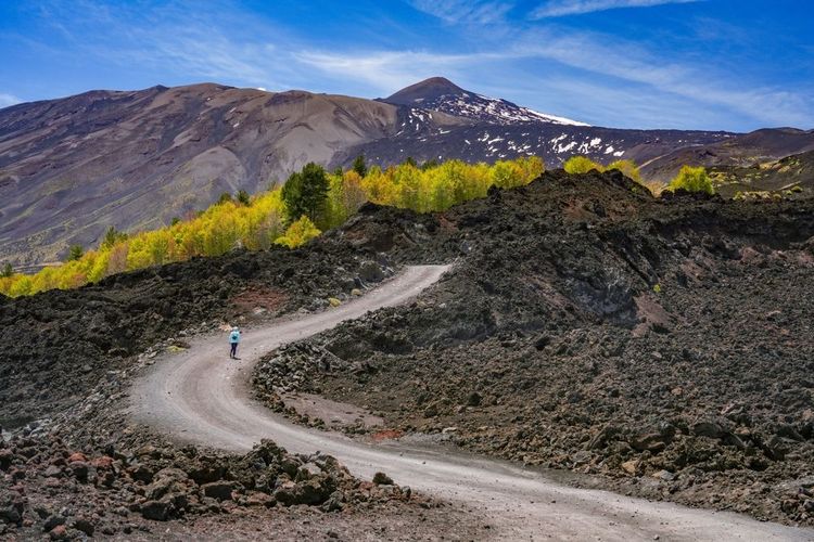 L'Etna, un écosystème volcanique