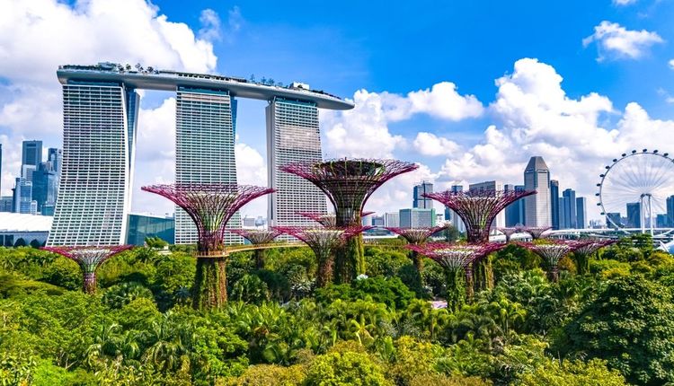 Vue sur les jardins de la baie et Marina Bay Sands à Singapour