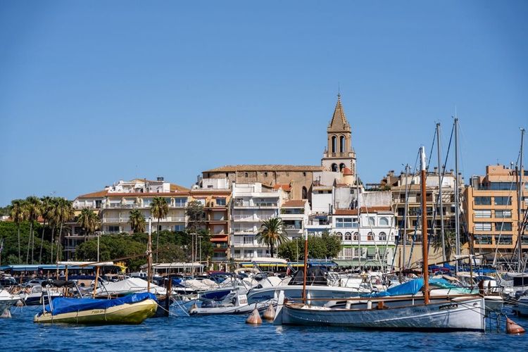 Criée à Palamós