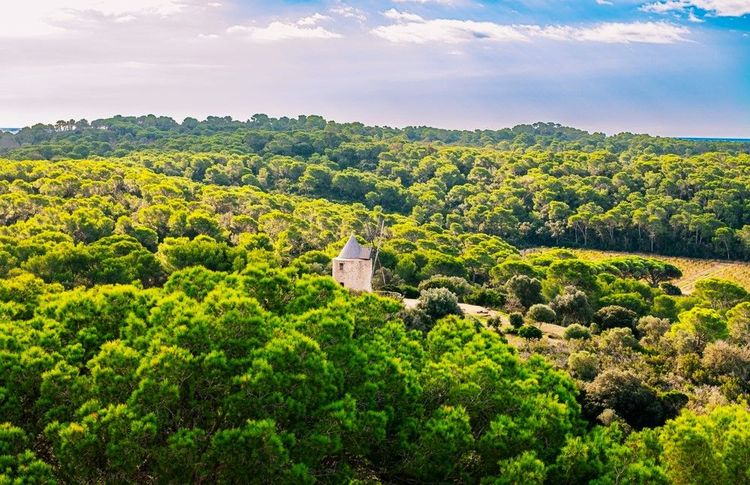 Le Moulin du Bonheur de Porquerolles