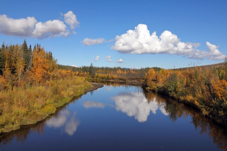 Hess Creek, Dalton Highway, Alaska, États-Unis