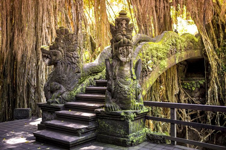 L'imperdibile ponte della Monkey Forest a Ubud