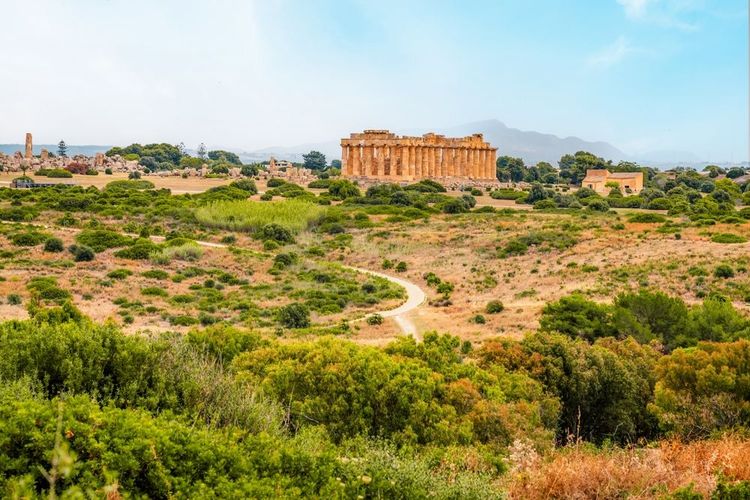 Le site labyrinthique de Selinonte