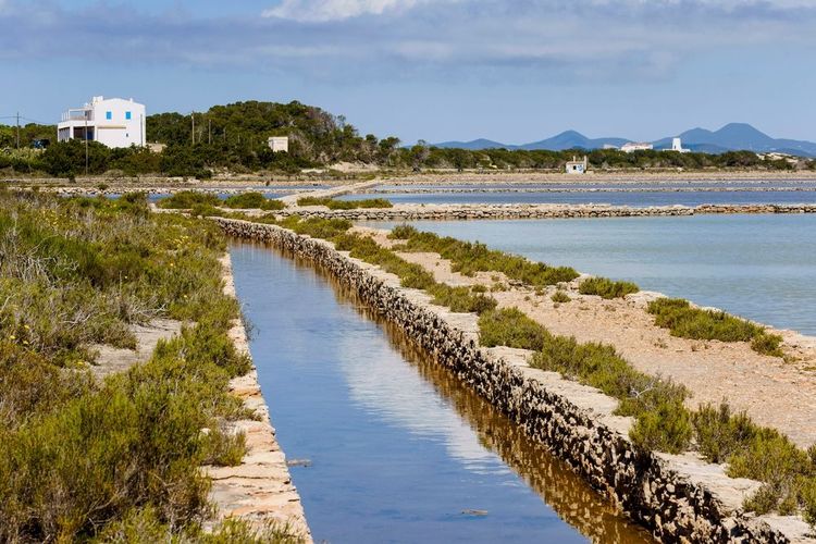 Parc naturel de Ses Salines, La Savina