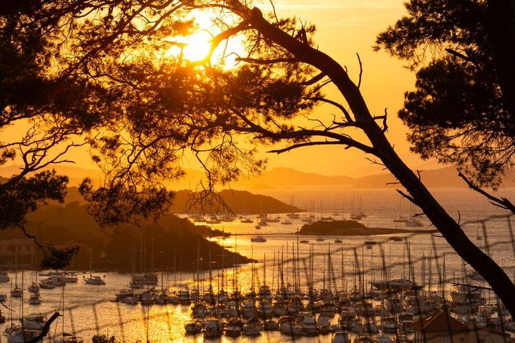 porquerolles, le port de plaisance