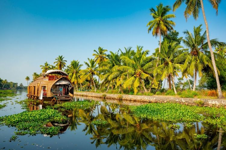 Backwaters du Kerala, Inde