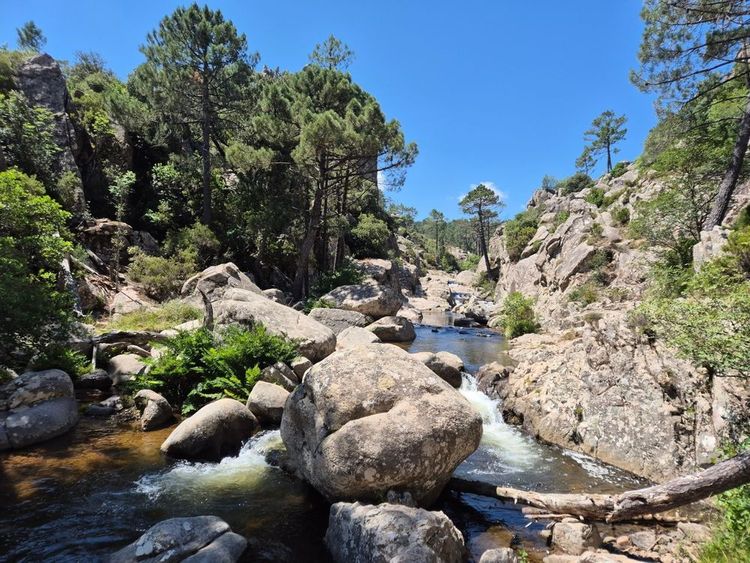 La rivière du canyon de Piscia di Gallu (Piscia di ghjaddu)