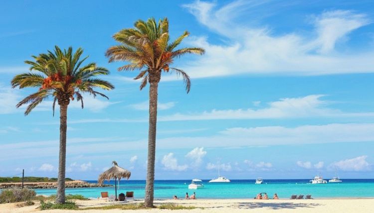 Es Pujols, mer turquoise, palmiers et plage de sable fin