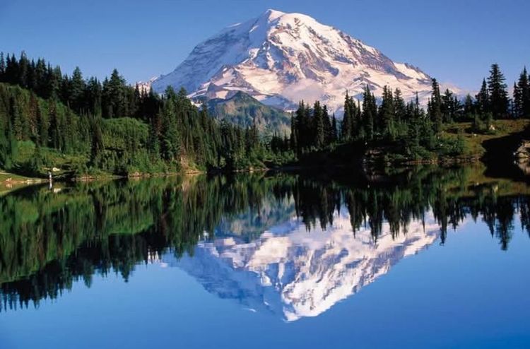 Paysage de montagne, avec des arbres luxuriants et un lac tranquille