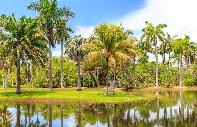 Flanieren im tropischen botanischen Garten Fairchild in Miami