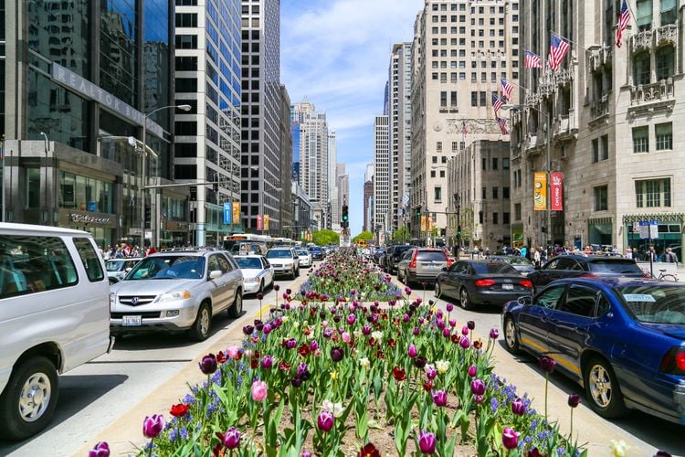 I tulipani fioriscono nel Magnificent Mile di Chicago
