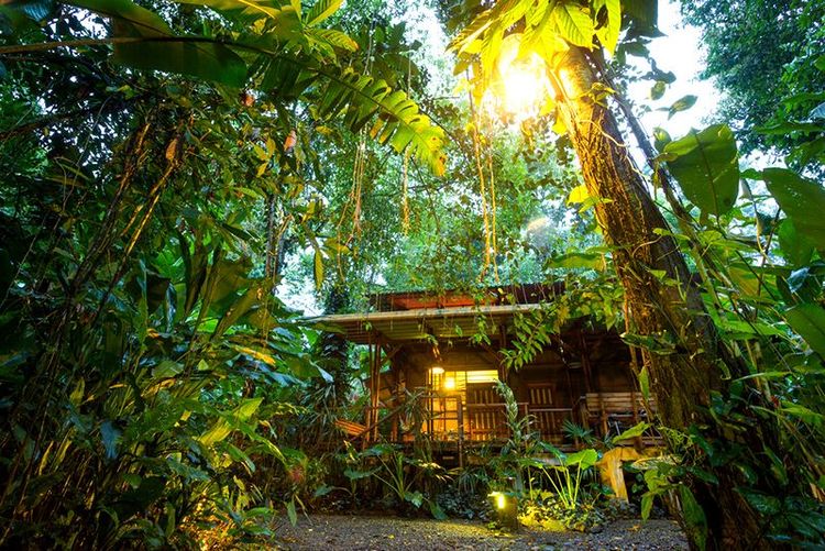 Ecolodge dans la forêt tropicale du Costa Rica