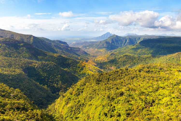 Parc national des Gorges de la Rivière Noire