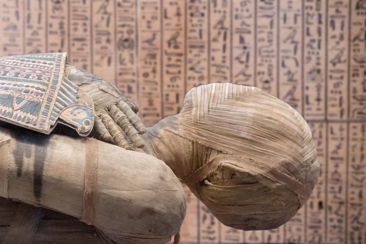 Découvrir l’histoire d’Hurghada au musée de la ville
