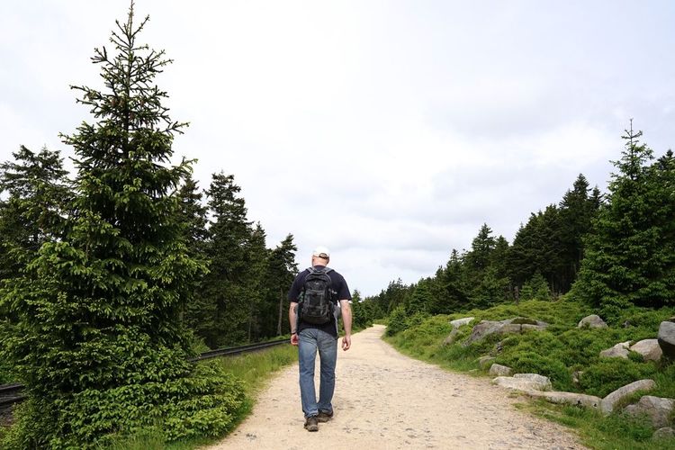 Follow the Goetheweg along the hiking trail
