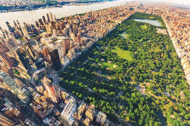 Central Park, New York's green lung