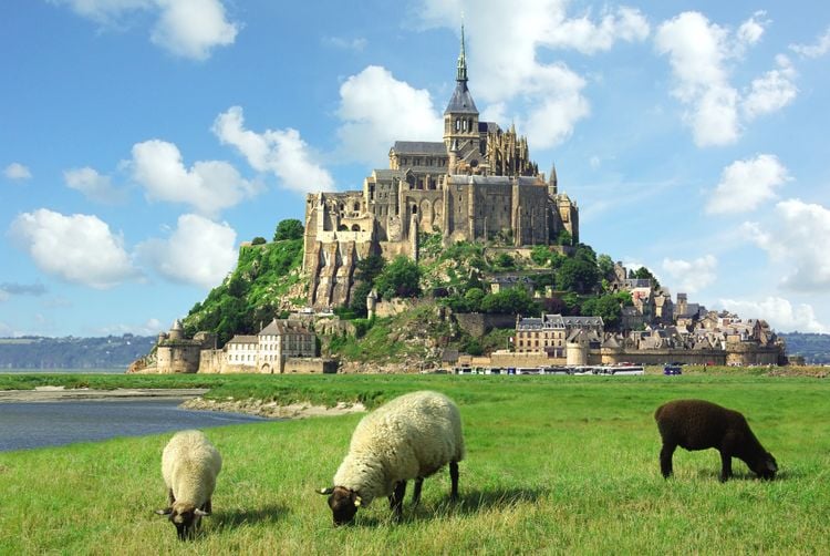 Le Mont-Saint-Michel : entre moutons et crêpes, une presqu'île à croquer !