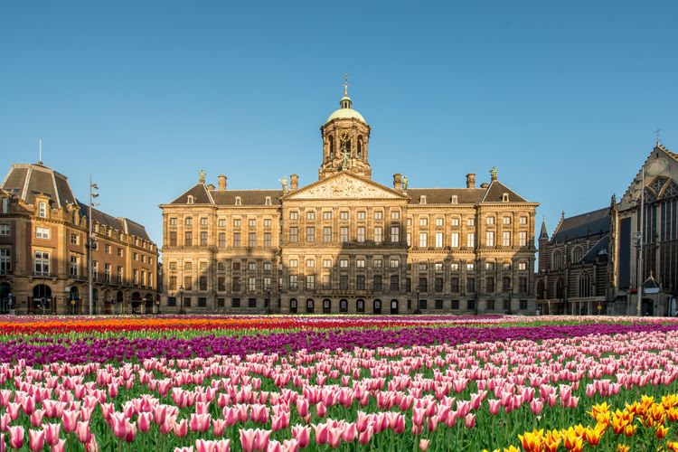 Visiter le Palais Royal, le lieu de réception officielle de la famille royale à Amsterdam