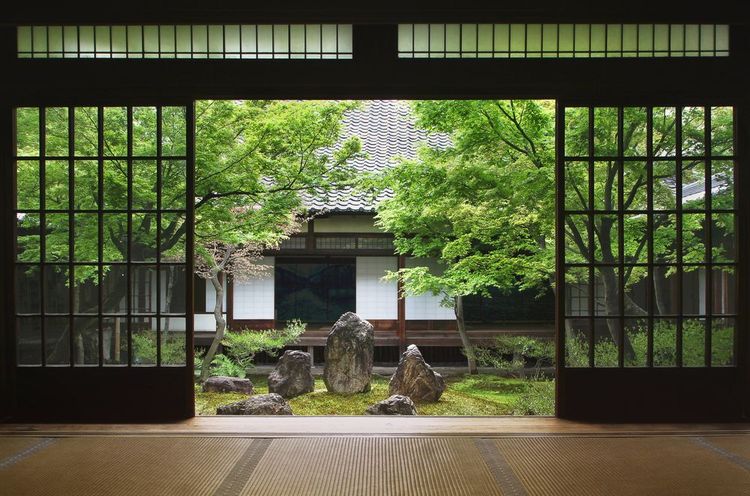 Vue de l'intérieur sur le jardin japonais à Kyoto